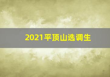 2021平顶山选调生