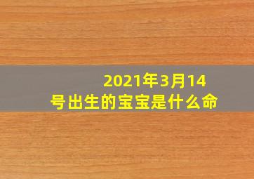 2021年3月14号出生的宝宝是什么命