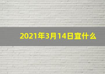 2021年3月14日宜什么