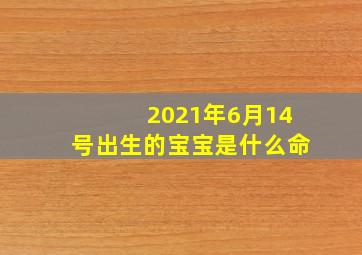 2021年6月14号出生的宝宝是什么命