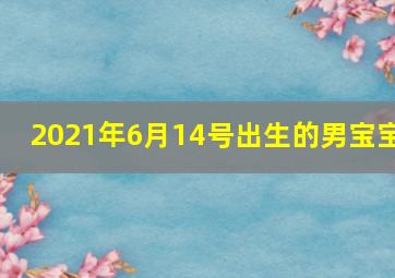 2021年6月14号出生的男宝宝