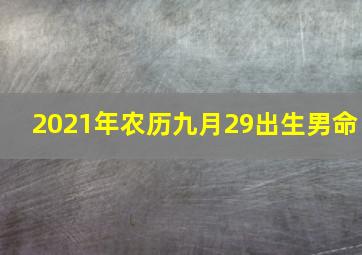 2021年农历九月29出生男命