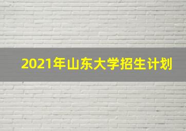 2021年山东大学招生计划