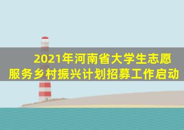 2021年河南省大学生志愿服务乡村振兴计划招募工作启动