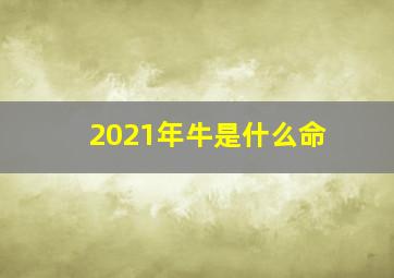 2021年牛是什么命