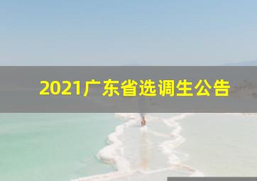 2021广东省选调生公告