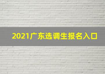 2021广东选调生报名入口