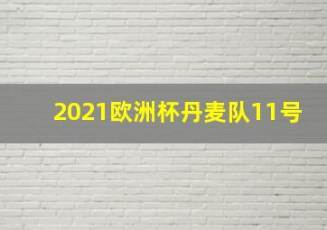 2021欧洲杯丹麦队11号