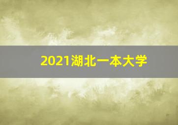 2021湖北一本大学