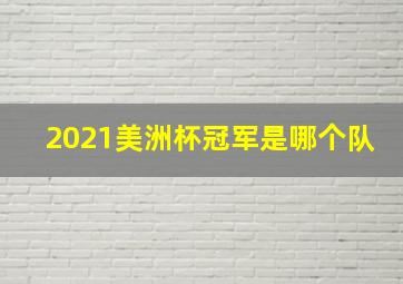 2021美洲杯冠军是哪个队