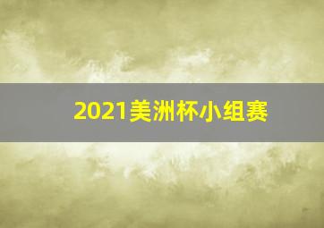 2021美洲杯小组赛