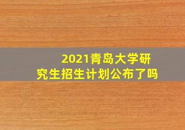 2021青岛大学研究生招生计划公布了吗