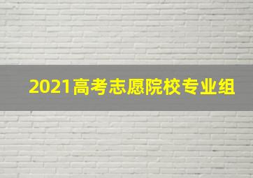 2021高考志愿院校专业组