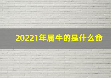 20221年属牛的是什么命