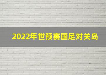 2022年世预赛国足对关岛