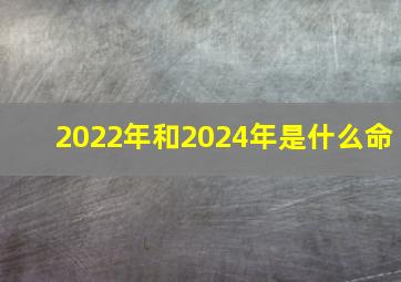 2022年和2024年是什么命