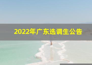 2022年广东选调生公告