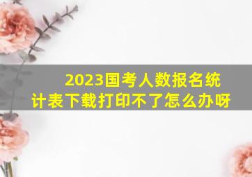 2023国考人数报名统计表下载打印不了怎么办呀