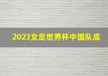 2023女足世界杯中国队成