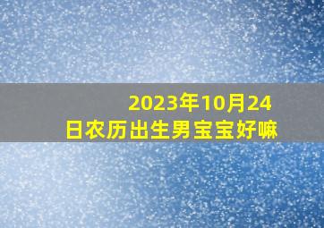 2023年10月24日农历出生男宝宝好嘛