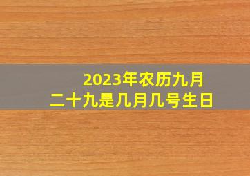 2023年农历九月二十九是几月几号生日