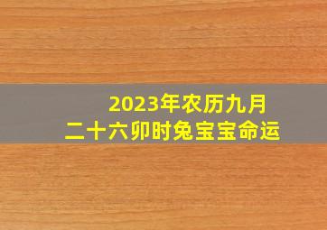 2023年农历九月二十六卯时兔宝宝命运