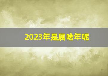 2023年是属啥年呢