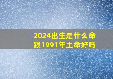 2024出生是什么命跟1991年土命好吗