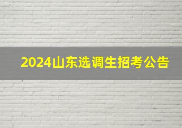 2024山东选调生招考公告