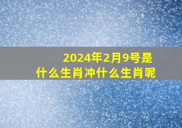 2024年2月9号是什么生肖冲什么生肖呢