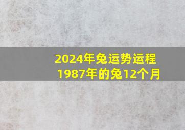 2024年兔运势运程1987年的兔12个月