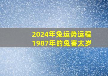 2024年兔运势运程1987年的兔害太岁