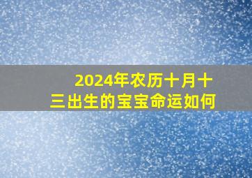 2024年农历十月十三出生的宝宝命运如何