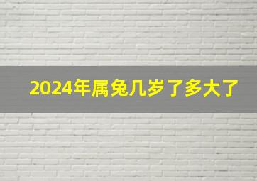 2024年属兔几岁了多大了