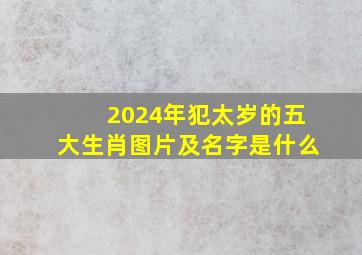 2024年犯太岁的五大生肖图片及名字是什么