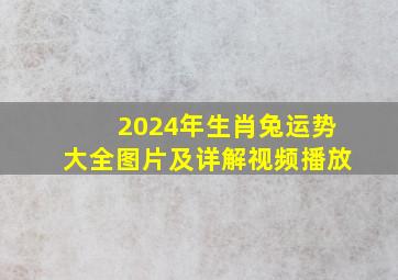 2024年生肖兔运势大全图片及详解视频播放