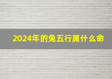 2024年的兔五行属什么命