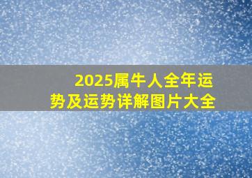 2025属牛人全年运势及运势详解图片大全