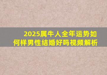 2025属牛人全年运势如何样男性结婚好吗视频解析