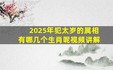 2025年犯太岁的属相有哪几个生肖呢视频讲解