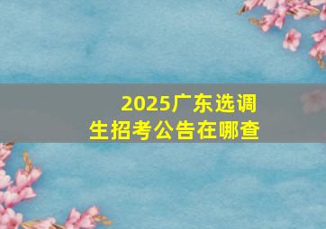 2025广东选调生招考公告在哪查