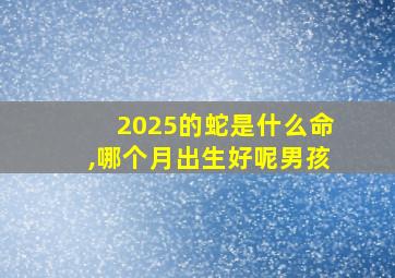 2025的蛇是什么命,哪个月出生好呢男孩