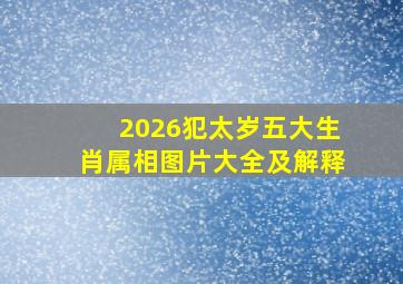 2026犯太岁五大生肖属相图片大全及解释