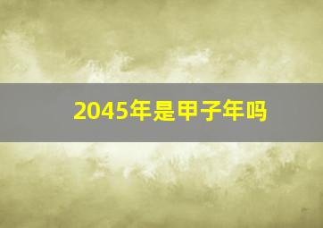 2045年是甲子年吗