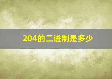 204的二进制是多少