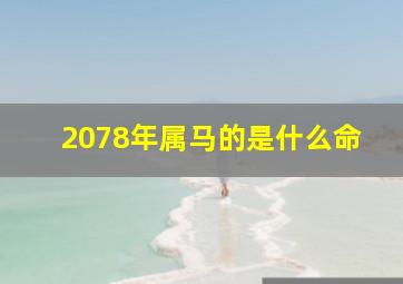 2078年属马的是什么命