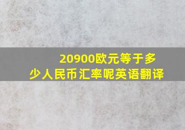 20900欧元等于多少人民币汇率呢英语翻译