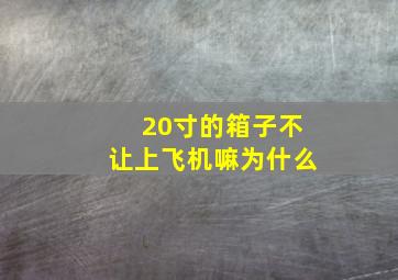 20寸的箱子不让上飞机嘛为什么