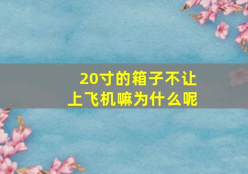 20寸的箱子不让上飞机嘛为什么呢