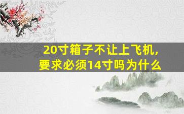 20寸箱子不让上飞机,要求必须14寸吗为什么